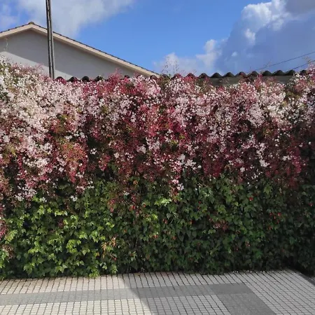 Feriehus Casinha Do Mar Carvide