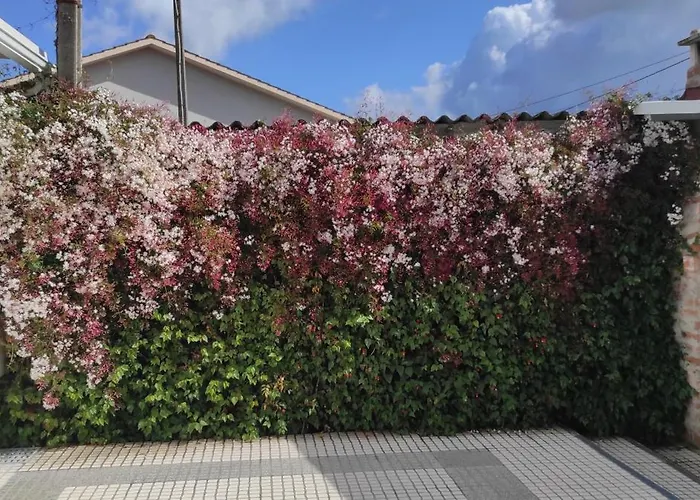 Hébergement de vacances Casinha Do Mar Carvide